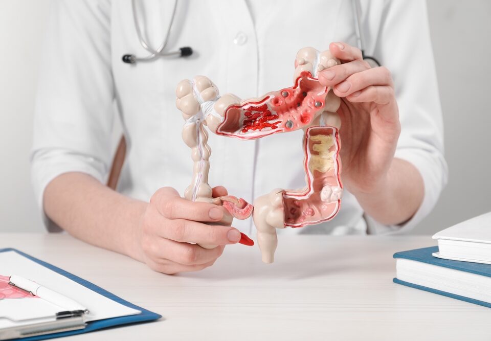 Gastroenterology 101: Common Digestive Disorders and How to Manage Them